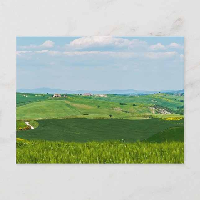 Postal Paisaje típico de la Toscana con colinas - Italia (Anverso)