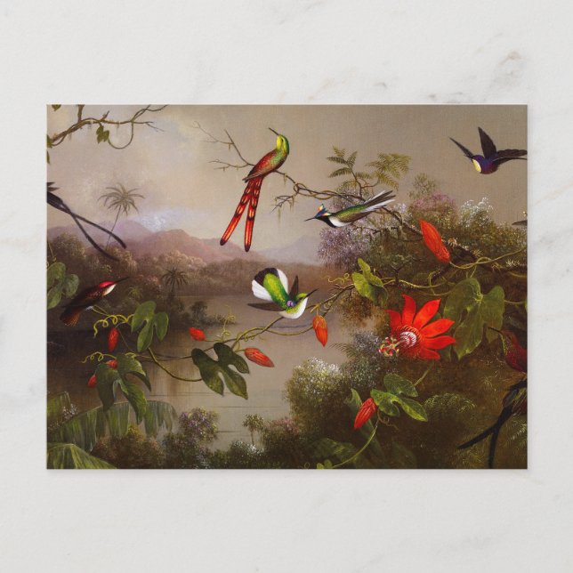 Postal Paisaje tropical con 10 Hummingbirds Heade (Anverso)