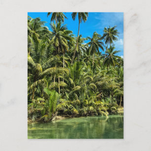 Postal Paisaje tropical, filipinas, caídas de Kawasan Cas
