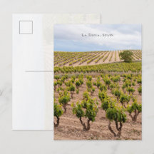 Paisaje viñedo La Rioja, España