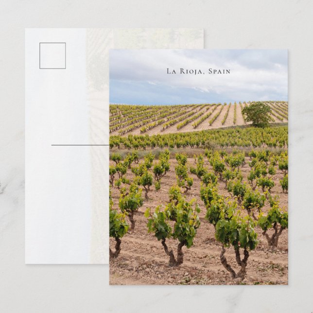 Postal Paisaje viñedo La Rioja, España (Anverso / Reverso)