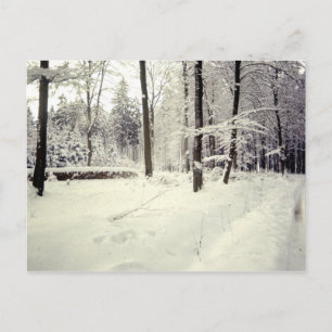 Postal Paisajes