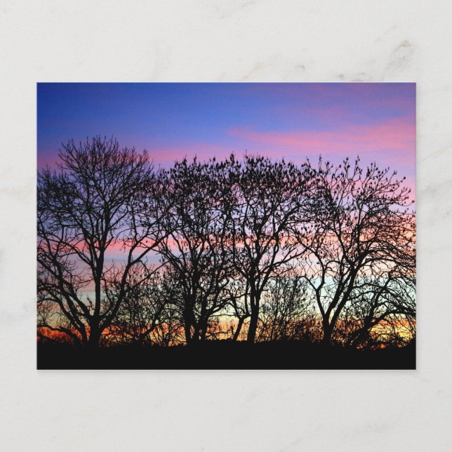Postal Paisajes (Anverso)