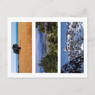 Postal Paisajes de la naturaleza de Chipre árboles de pos