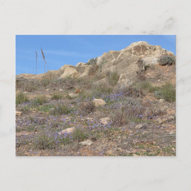 Postal paisajista de Chipre (Anverso)