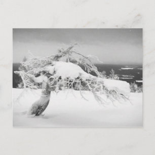 Postal paisajística de Lapland