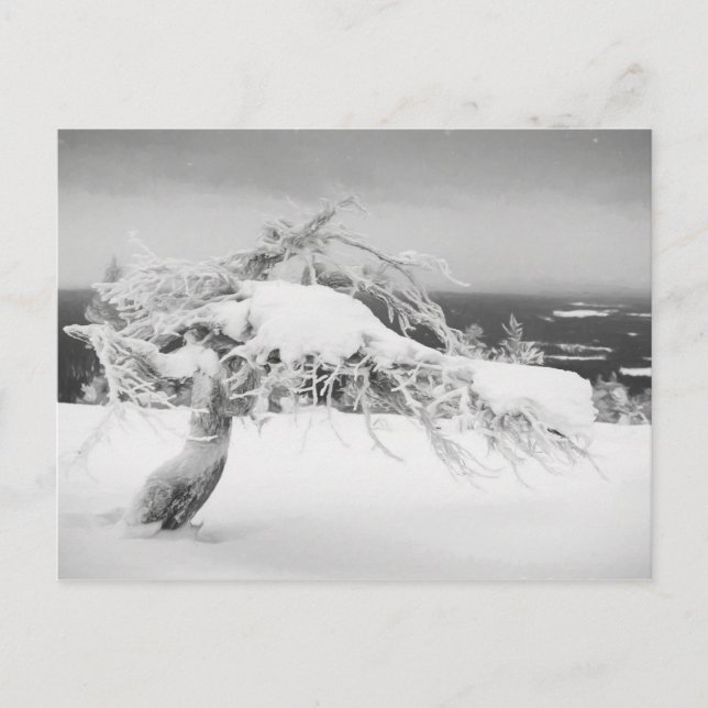 Postal paisajística de Lapland (Anverso)