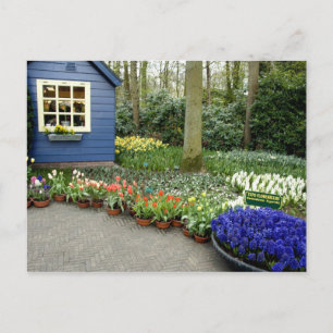 Postal Países Bajos (Holanda), Lisse. Keukenhof 11