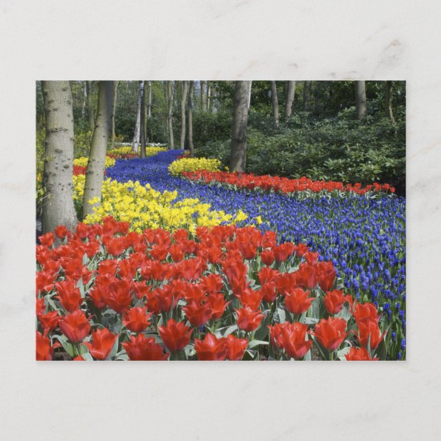 Postal Países Bajos, Holanda, Lisse, Keukenhof Gardens (Anverso)