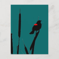 Pajarita y cola de gato