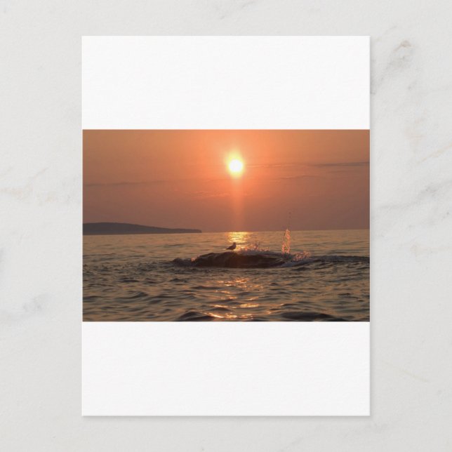 Postal pájaro (Anverso)