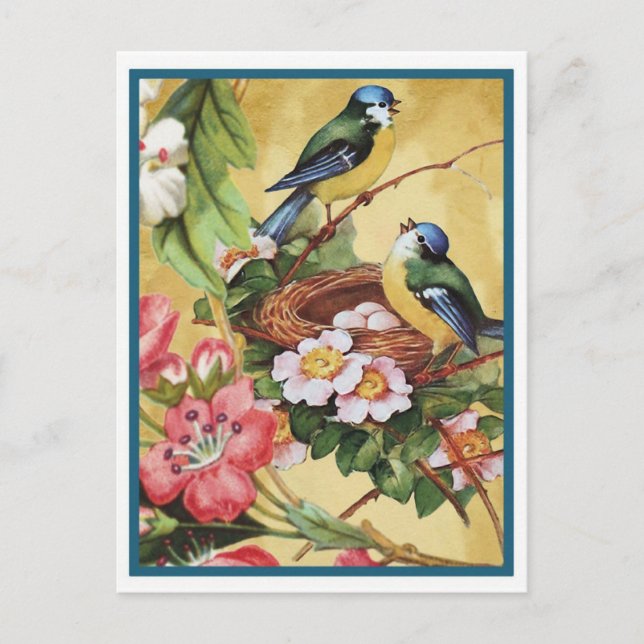 Postal pájaro 7 (Anverso)