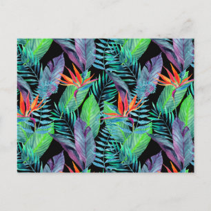 Postal Pájaro Acuarela Del Paraíso 2