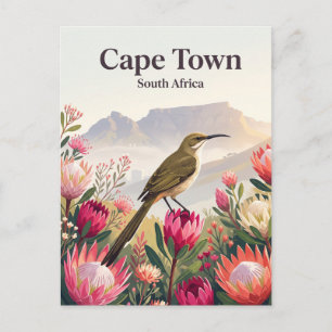 Postal Pájaro azúcar del Cabo, Ciudad del Cabo Sudáfrica