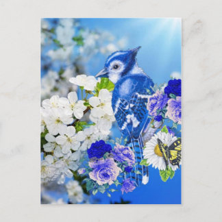Postal pájaro azul