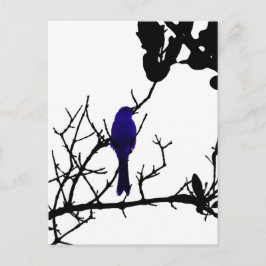 Postal Pájaro azul en árbol negro