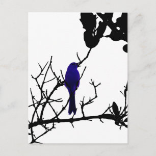 Postal Pájaro azul en árbol negro