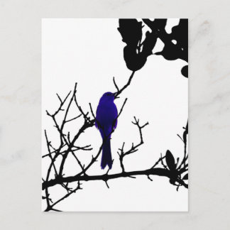 Postal Pájaro azul en árbol negro