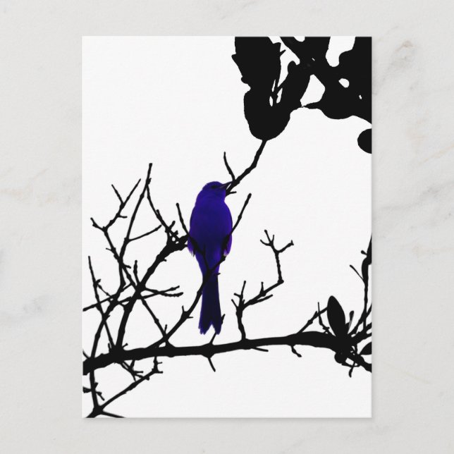 Postal Pájaro azul en árbol negro (Anverso)
