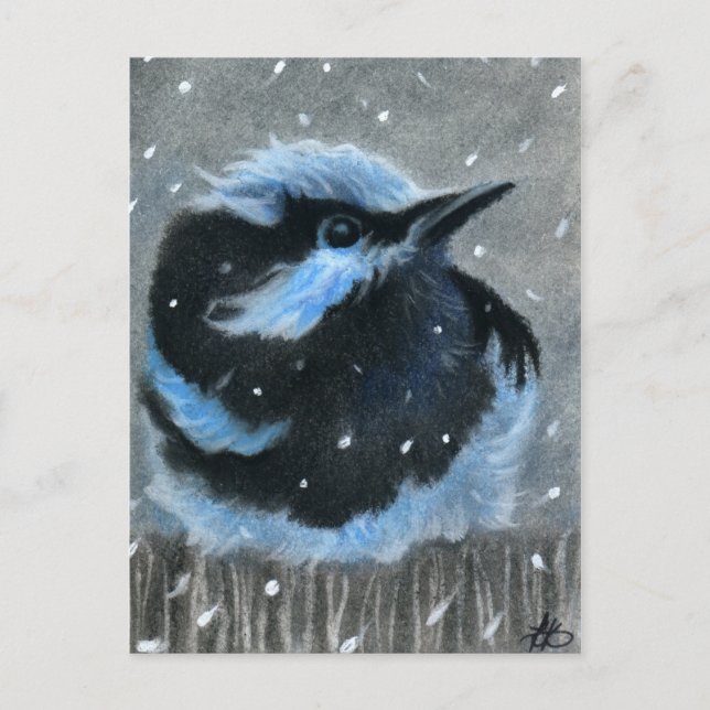 Postal Pájaro azul en la nieve POSTCARD (Anverso)