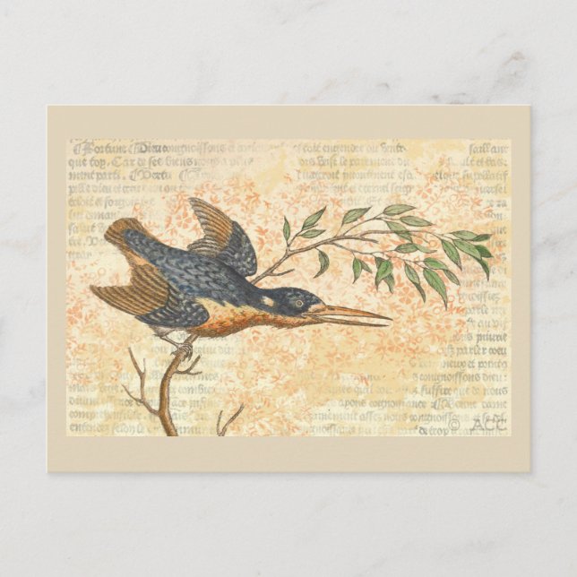 Postal Pájaro azul en rama (Anverso)