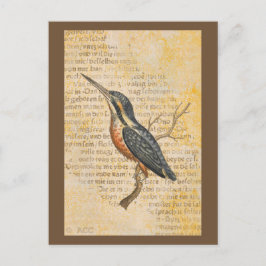 Postal Pájaro azul en rama