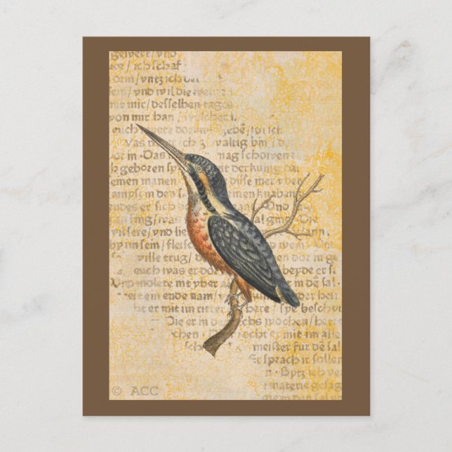 Postal Pájaro azul en rama (Anverso)