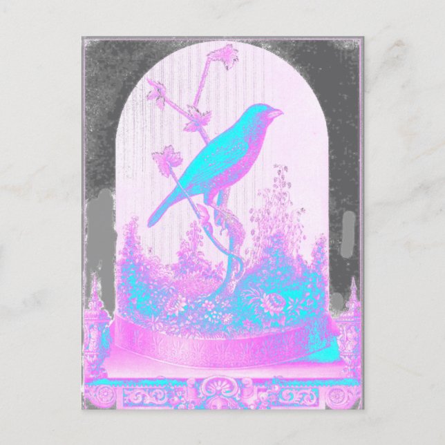 Postal Pájaro azul turquesa, rosa pálido, morado, negro (Anverso)