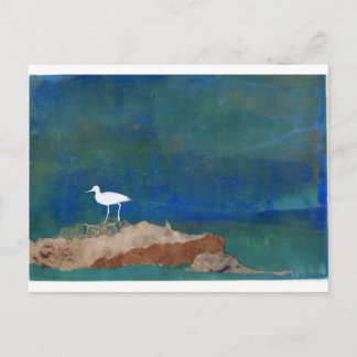 Postal Pájaro blanco