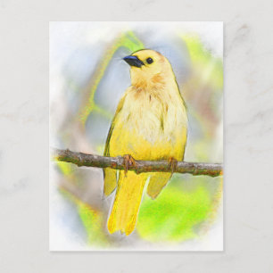 Postal Pájaro Cantante Dorado