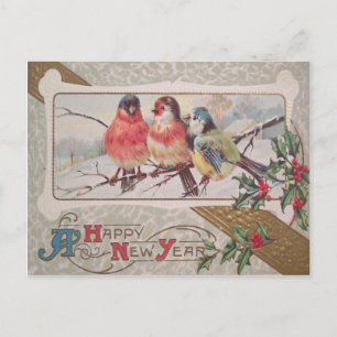 Postal Pájaro cantor Holly Snow