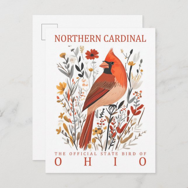 Postal Pájaro cardenal del norte de Ohio EE.UU. (Anverso / Reverso)