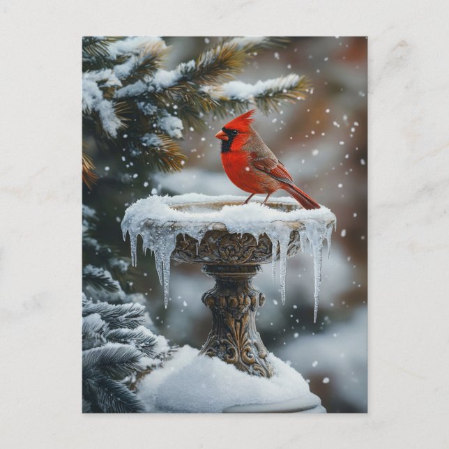 Postal Pájaro cardenal rojo en un arte de baño de aves co (Anverso)