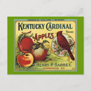 Postal Pájaro cardinal de Kentucky
