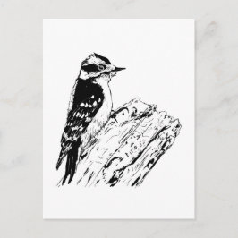 Postal Pájaro carpintero
