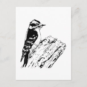 Postal Pájaro carpintero