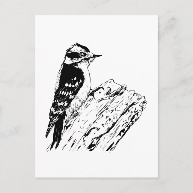 Postal Pájaro carpintero (Anverso)