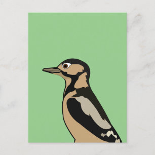 Postal Pájaro Carpintero Arte Natural