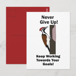 Postal Pájaro Carpintero Nunca Desistir Inspirador