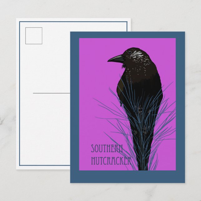 Postal Pájaro -- Cascanueces meridional  (Anverso / Reverso)