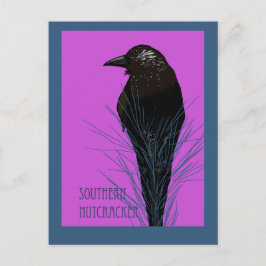 Postal Pájaro -- Cascanueces meridional