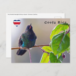 Postal Pájaro costarricense - Hummingbird