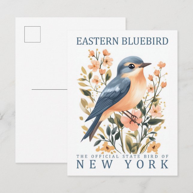 Postal Pájaro de Bluebird de Nueva York (Anverso / Reverso)