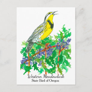 Postal Pájaro de flores del estado de Oregon