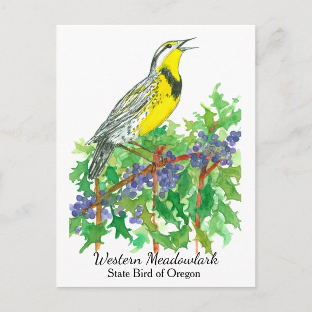 Postal Pájaro de flores del estado de Oregon (Anverso)