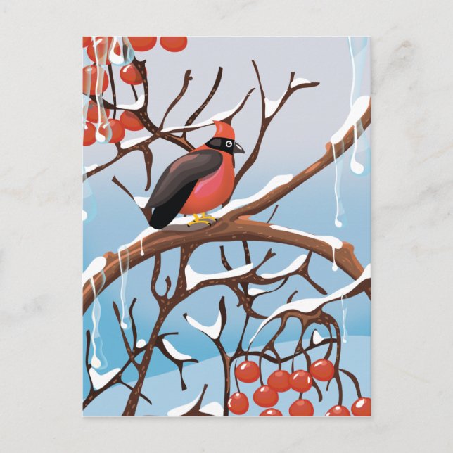Postal pájaro de invierno (Anverso)