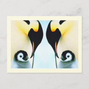 Postal Pájaro de la familia Penguins