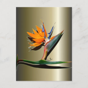 Postal Pájaro de la flor del paraíso