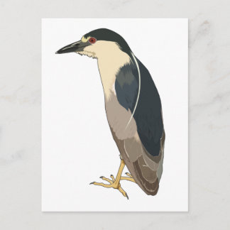 Postal Pájaro de la garganta de la noche coronada de negr