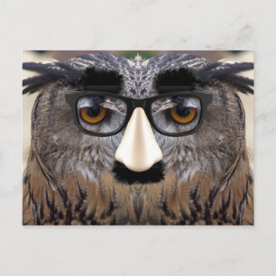 Postal Pájaro de la nariz grande